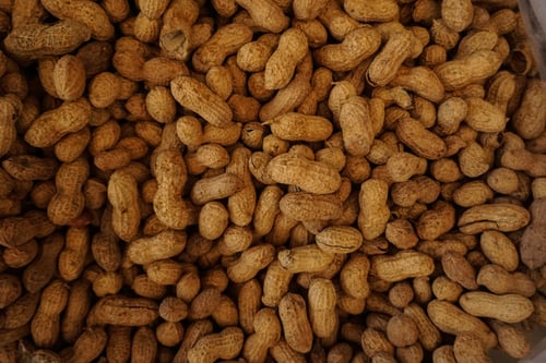 ‘El cacahuete’, por Txell Tomás, contenido sobre propiedades, beneficios y valor nutricional de este alimento energético dentro de una dieta saludable.